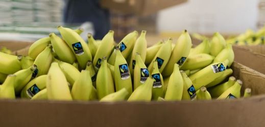 Policie nalezla kokain v krabicích od banánů (ilustrační foto).