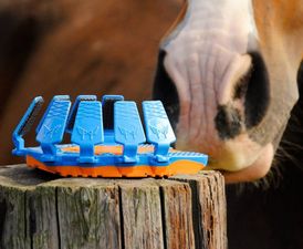 Plastové podkovy jsou vyrobené tak, že prý napomáhají koním k posílení šlach a vazů.