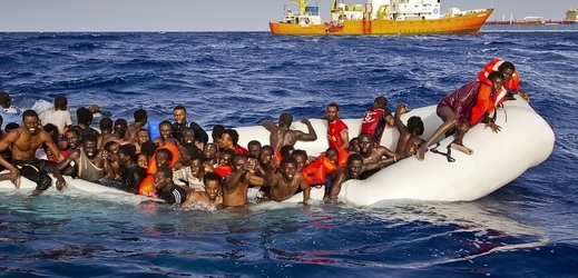 Migrace (ilustrační foto).