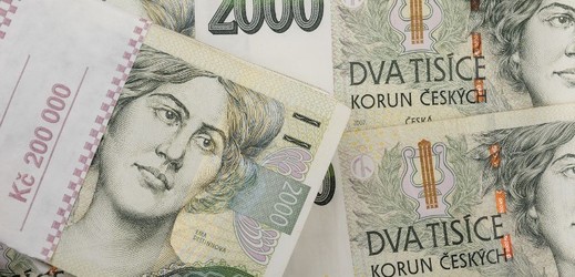 Ministerstvo práce vyčlenilo zhruba 350 milionů korun.