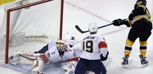 David Pastrňák vstřelil ve středečním utkání NHL svůj 16. gól v sezoně.