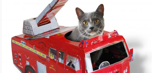 Tyto originální kočičí hrací domečky a škrabadla jsou k dostání i v Česku.