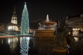 Pohled na vánoční strom na Trafalgarském náměstí v Londýně.