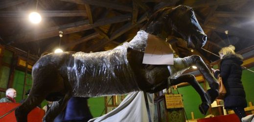 Muzeu se na opravu koníků, které pokrývá pravá koňská srst, podařilo ve veřejné sbírce vybrat 1,6 milionu korun.