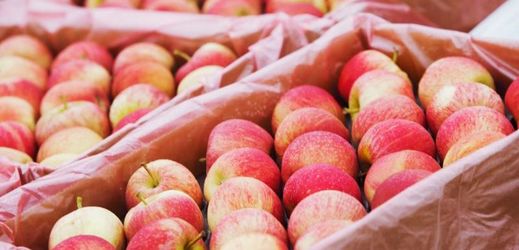 Makro už neprodává jablka z Polska (ilustrační foto).