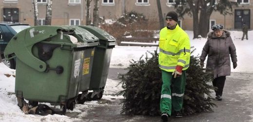 Vánoční stromky by lidé neměli odkládat do popelnic ani do kontejnerů.