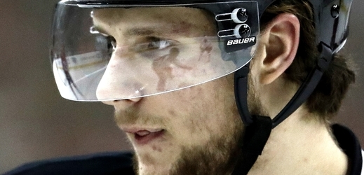 Hokejista Pavel Zacha. 