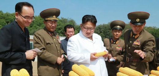Kim Čong-un společně s generály na inspekci kukuřičných klasů.