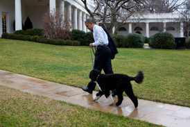 Prezident Obama se svým psem.
