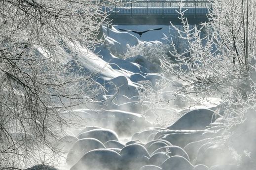 Mrazivé počasí a dostatek sněhu přinesla letošní zima do Libereckého kraje. Na snímku je zachyceno mrazivé ráno 19. ledna v Josefově Dole na Jablonecku.