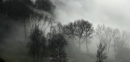 Mlha v britském městečku Surrey, jihozápadně od Londýna.