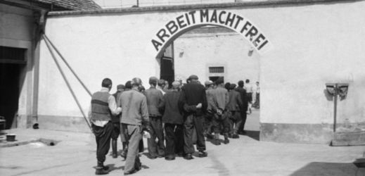 Na snímku z května roku 1945 přichází skupina bývalých vězňů v terezínské Malé pevnosti k odvšivování. Kromě jiných nakažlivých nemocí sem byl zavlečen i skvrnitý tyfus.
