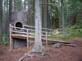 Prachatický areál nabídne pět stanovišť, která zpodobní obydlí lesních zvířat. Na snímku naučná stezka u obce Stožec.