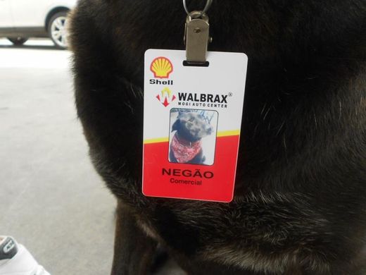 Negão dostal i zaměstnaneckou visačku s vlastní fotografií.