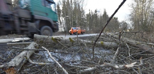 Silný vítr v Česku lámal větve i celé stromy.