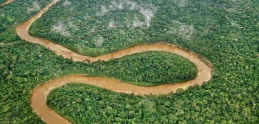 Pohled na Amazonský prales.