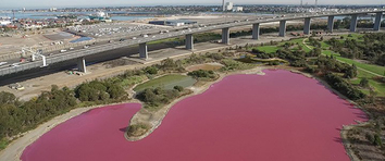 Růžové jezero v Austrálii.