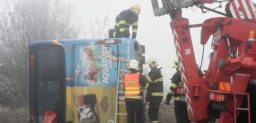 Autobus loni havaroval na silnici I/17 u Panenského Týnce na Lounsku.