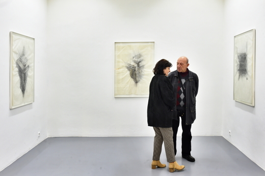 V českobudějovickém Domě umění začala výstava Adrieny Šimotové pod názvem A je takové ticho... (II).