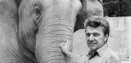 Slavnostní zahájení 86. hlavní sezony Zoo Praha připomnělo úspěšná sedmdesátá léta. V čele pražské zoo tehdy stál dr. Veselovský, který jejímu rozvoji věnoval veliké úsilí. Na fotografii je se slonicí Gulab.