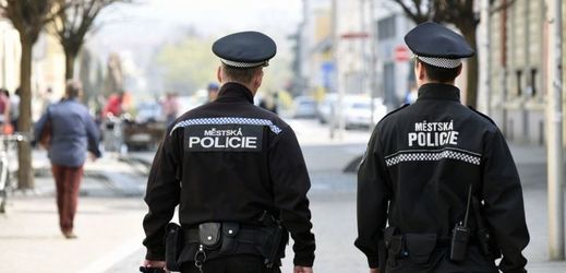Městská policie Uherské Hradiště (ilustrační foto).