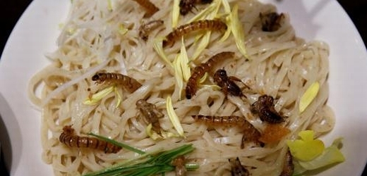 Hmyz se odedávna konzumoval ve venkovských oblastech Japonska.