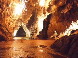 Historie jeskyně Výpustek sahá nejhlouběji do minulosti ze všech zpřístupněných jeskyní Moravského krasu. Byla obývána v období paleolitu a neolitu, novodobá historie začíná počátkem 17. století.