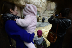Návštěvníci sledují gorily nížinné v jejich výběhu v pražské zoo.