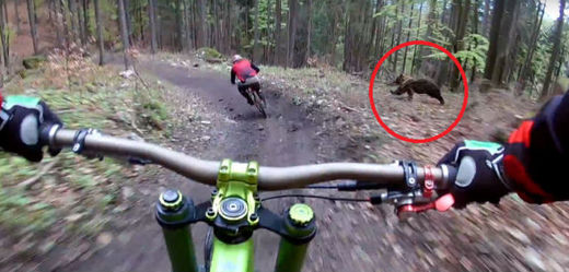 Ve slovenském bikeparku honil dva Čechy medvěd. 