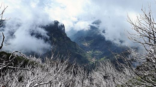 Sestupový pohled přes ohořelé stromy z Pico Ruivo do Curral das Freiras. Na zemi byste ale stopy po požáru nenašli.