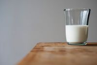 Lidé nejvíce nakupují bio mléko a mléčné výrobky (ilustrační foto).