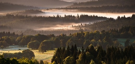 Snímek Národního parku Šumava.