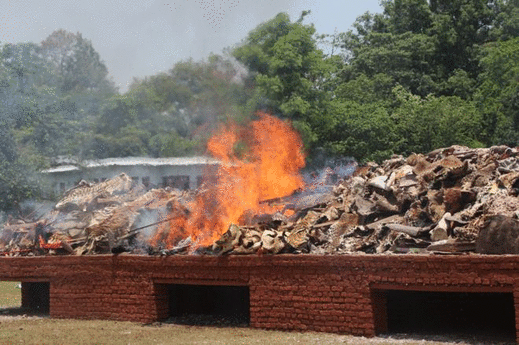 Trofeje z nelegálně ulovených zvířat v Nepálu lehly popelem.