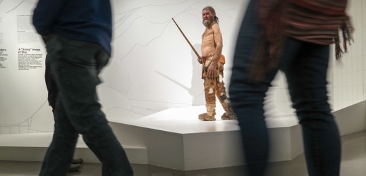 Mumie Ötziho v Jihotyrolském archeologickém muzeu.