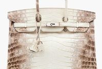 Luxusní kabelka nese název Himalaya Birkin podle své barvy.