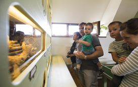 V zoologické zahradě je možno navštívit také ekocentrum, v němž se mohou děti blíže seznámit se zvířaty.