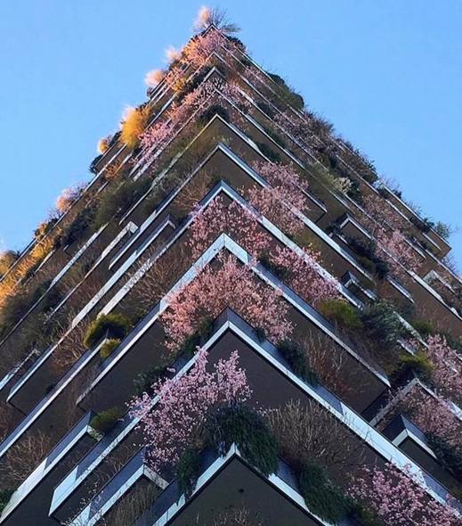 Koncept "vertikálního lesa" vytvořený architektem.