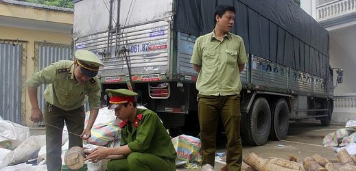 V sobotu vietnamští policisté našli zásilku 2,7 tuny sloních klů ukrytých v krabicích s ovocem v kamionu v provincii Thanh Hoa.