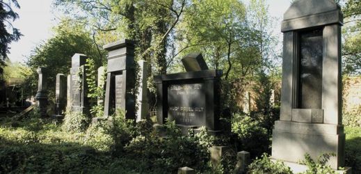 Židovský hřbitov ve Vyškově. 