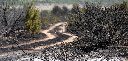 Hasiči v Chorvatsku a Černé Hoře pokračují v boji s rozsáhlými lesními požáry.