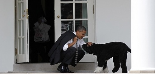 Barack Obama se svým psem Bo.