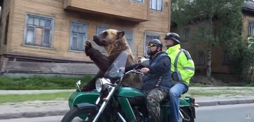 Medvěd na motorce šokoval ostatní řidiče.