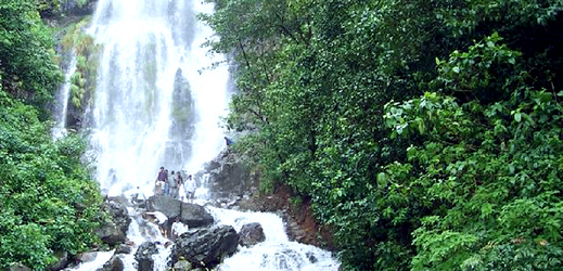 Vodopády v Amboli.