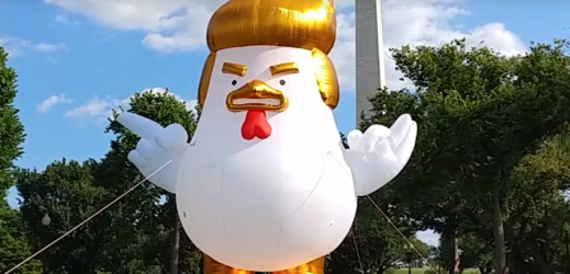 Nafukovací kuře nápadně připomíná Donalda Trumpa.