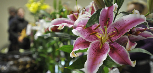 Letní etapa květinové výstavy na kroměřížském výstavišti Floria nese název Zahrada smyslů.