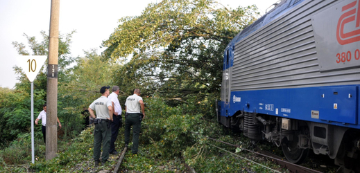 Dálkové vlaky mezi ČR a SR stojí, vlak najel na spadlý strom.