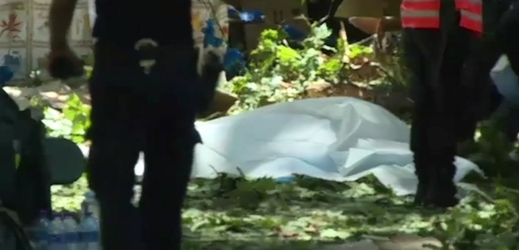 Padající strom zabil dvanáct lidí během církevních oslav na Madeiře.