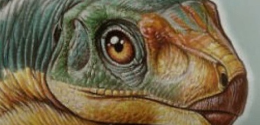 Chilesaurus diegosuarezi objevený v roce 2004.