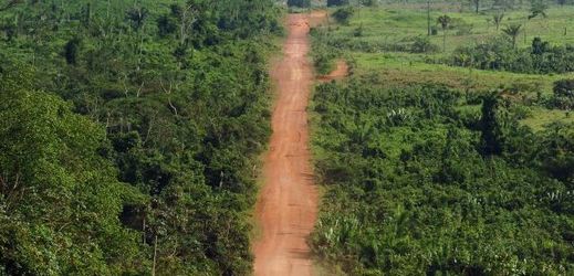Amazonský prales, Brazílie.