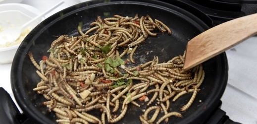 Na snímku jsou smažení červi z prvního ročníku Extreme food festivalu.